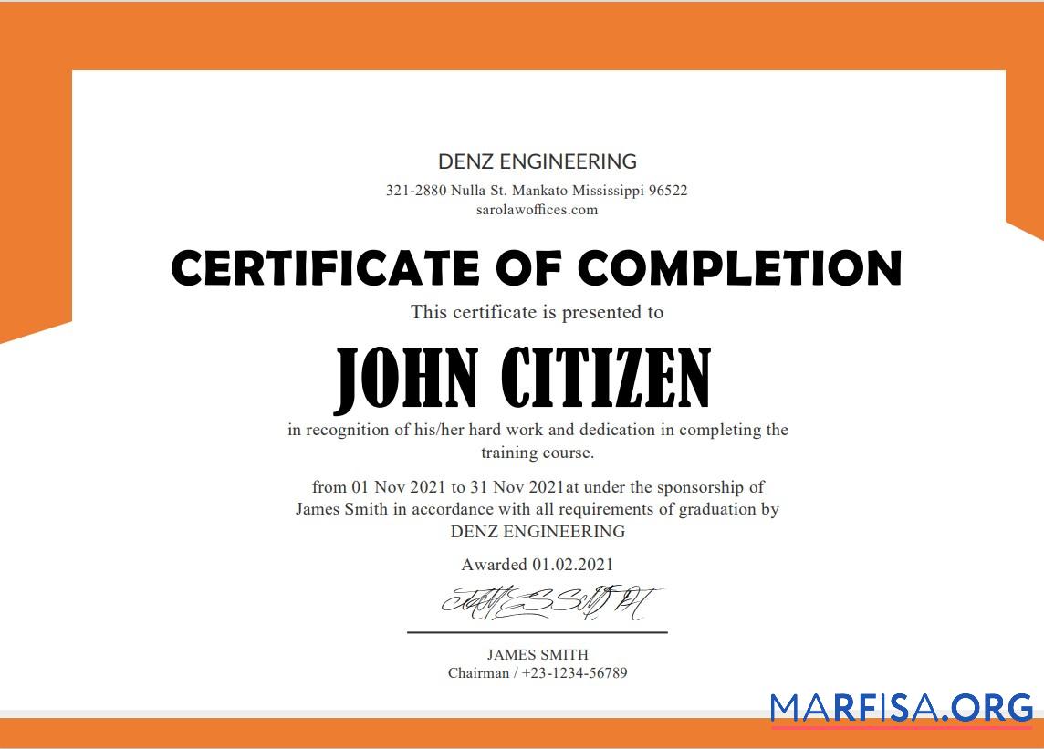 Realistic USA Denz Engineering Internship Cert template